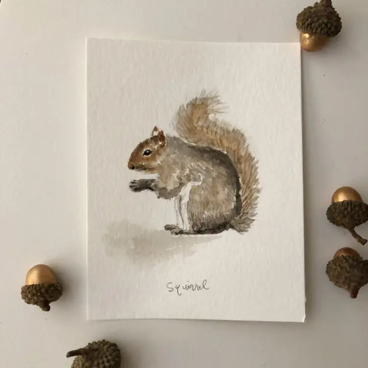 Squirrel Art Print