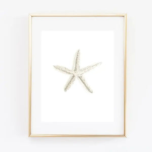 Starfish Art Print