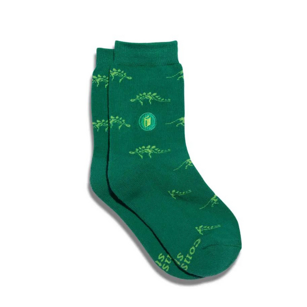 Kids Socks That Provide Books - Dinosaurs