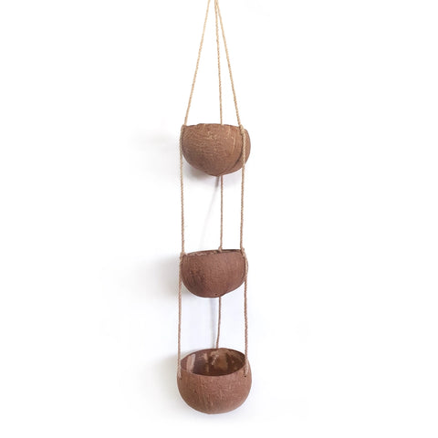 Hanging Coconut Planter